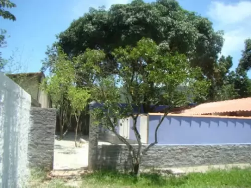  AQUI TEMOS UMA AMPLA VISÃO DE TODOS OS CANIS.