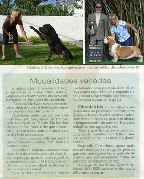 ADESTRAMENTO COM CARINHO