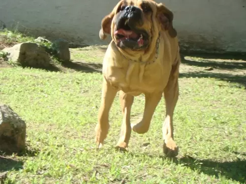 Rotina