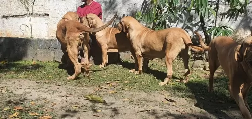Rotina