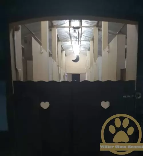 Aqui você tem paz, amor, tranquilidade e pode passear tranquilo, que nós cuidamos do seu pet com todo amor e carinho !!