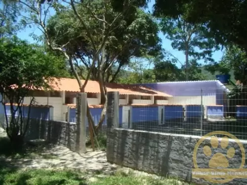  Não Hospedamos cães agressivos.
