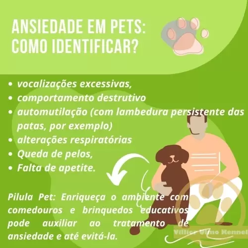 Hospedagem