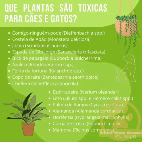 Hospedagem