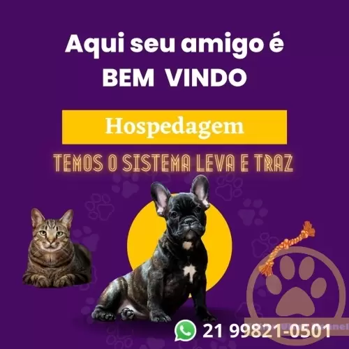 Hospedagem