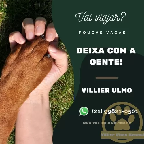 Hospedagem