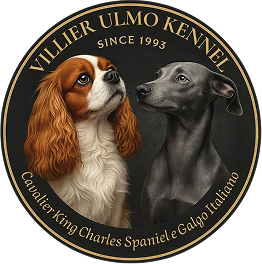 Emblema Villier Ulmo Kennel